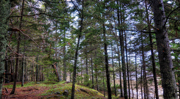 10 Rustic Spots In Maine That Are Extraordinary For Camping
