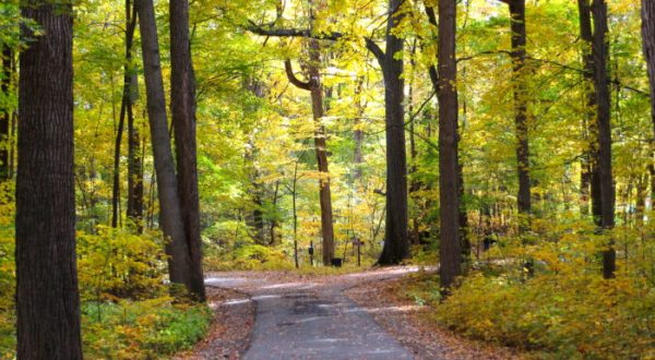 10 Easy Hikes To Add To Your Outdoor Bucket List In Michigan