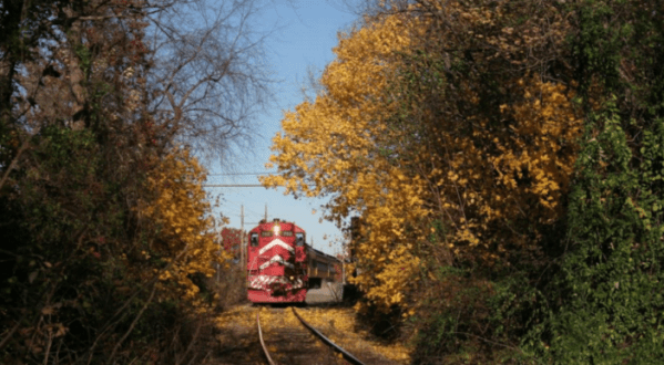 Take This Fall Foliage Train Ride Through New Jersey For A One-Of-A-Kind Experience