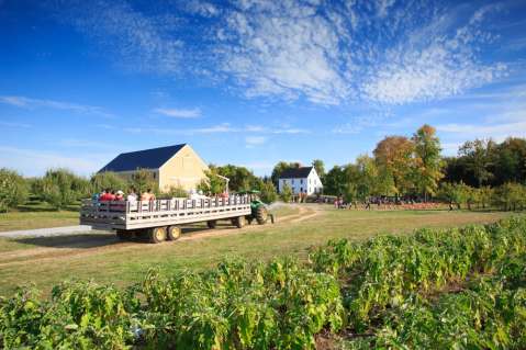 These 10 Charming Pumpkin Patches In New York Are Perfect For A Fall Day