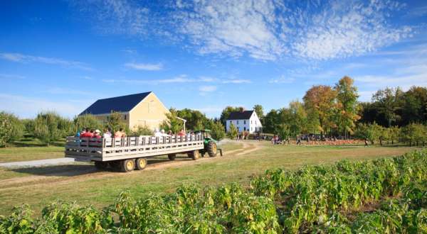 These 10 Charming Pumpkin Patches In New York Are Perfect For A Fall Day