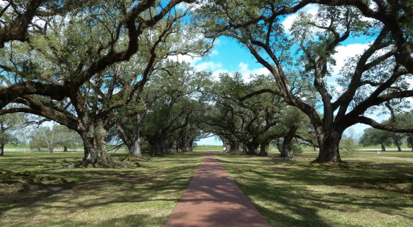 Take These 3 Country Roads Near New Orleans For A Gorgeous Scenic Drive