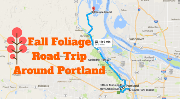 You’ll Want To Take This Gorgeous Fall Foliage Road Trip Around Portland This Year