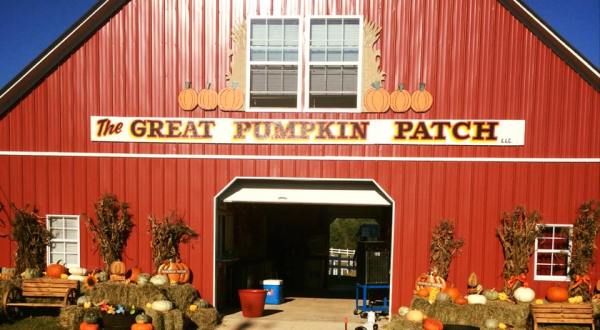 These 10 Charming Pumpkin Patches In Texas Are Picture Perfect For A Fall Day