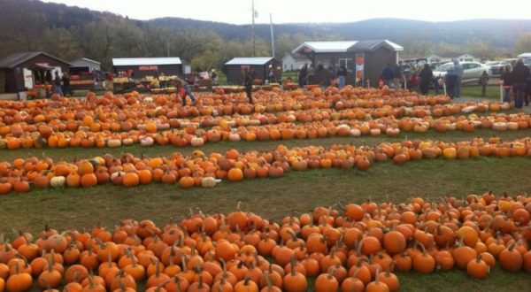These 8 Charming Pumpkin Patches In Iowa Are Picture Perfect For A Fall Day