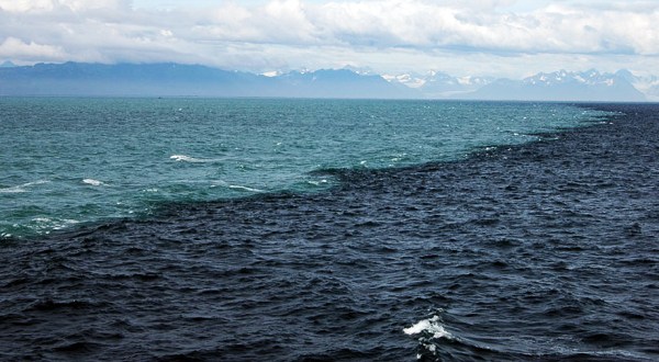 This Strange Phenomenon Happening In The Gulf Of Alaska Needs To Be Seen To Be Believed