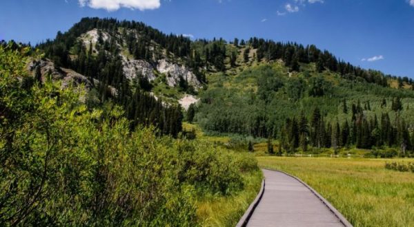 This Easy Alpine Hike In Utah Is Perfect For Everyone