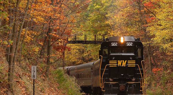 Take This Fall Foliage Train Ride Near Washington DC For A One-Of-A-Kind Experience