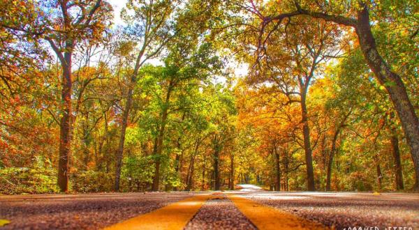 10 Country Roads In Mississippi That Are Pure Bliss In The Fall
