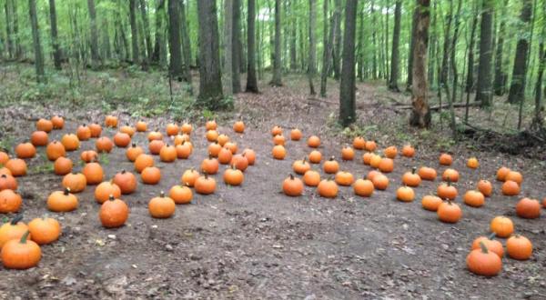 10 Spooky Campgrounds In Pennsylvania That Celebrate Halloween All October Long
