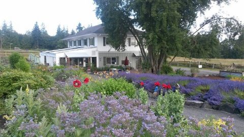 There’s A Restaurant On This Remote Washington Farm You’ll Want To Visit