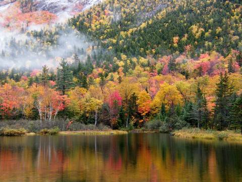 There's No Better Place To See Fall Colors Than Right Here In New Hampshire