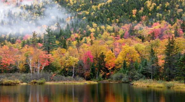 There’s No Better Place To See Fall Colors Than Right Here In New Hampshire
