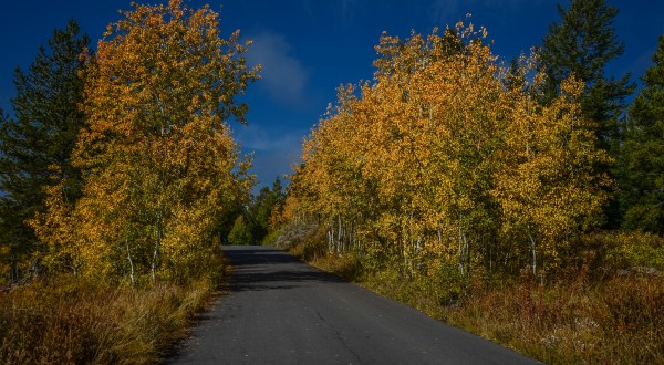 8 Country Roads In Wyoming That Are Pure Bliss In The Fall