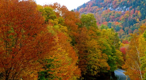 There’s No Better Place To See Fall Colors Than Right Here In Maine