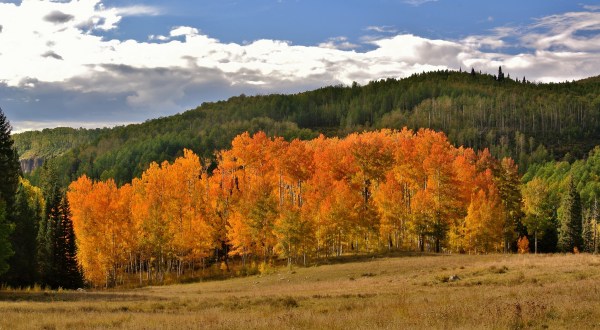 Get Lost In These 11 Breathtaking National Forests In Colorado