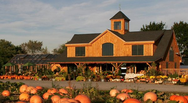 These 9 Charming Pumpkin Patches In Rhode Island Are Picture Perfect For A Fall Day