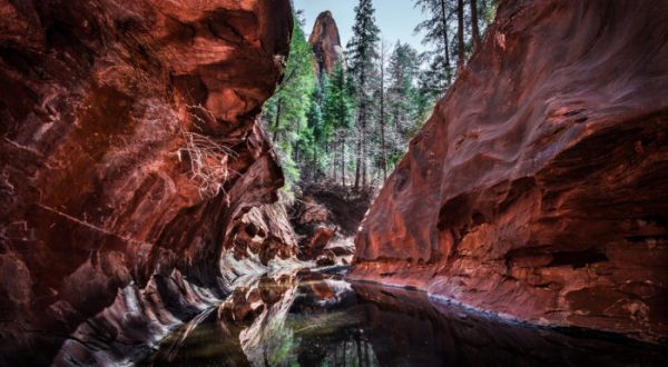 These 14 Places In Arizona Will Inspire You To Unplug And Enjoy Nature At Her Finest