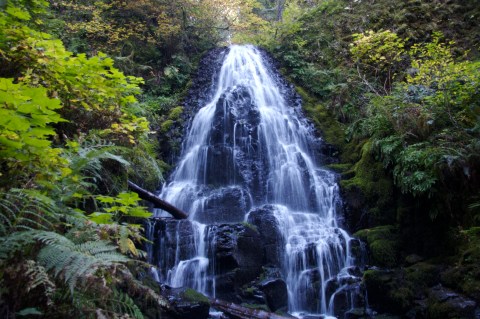 5 Gorgeous Waterfalls Hiding In Plain Sight Near Portland With No Hiking Required