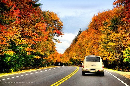 8 Country Roads In New Hampshire That Are Pure Bliss In The Fall