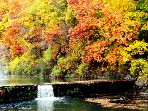 12 Arkansas Forests You Absolutely Have To Explore This Fall