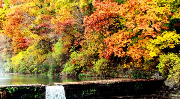 12 Arkansas Forests You Absolutely Have To Explore This Fall