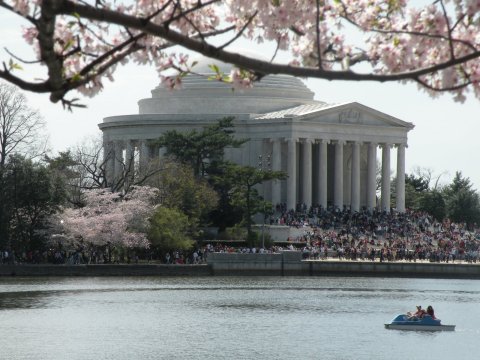 12 Ways Living in DC Ruins You For Life