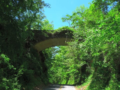 Don't Drive Over These 5 Haunted Bridges In North Carolina Or You'll Regret It