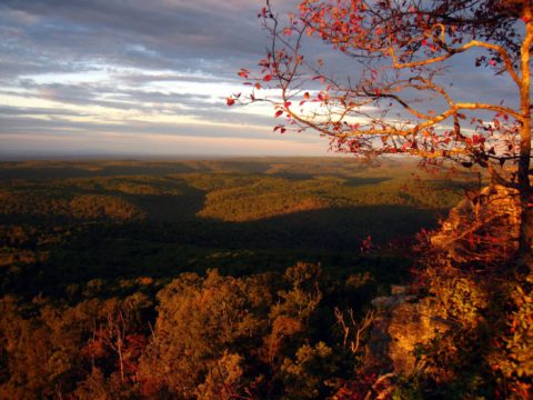 This Extraordinary Trail in Arkansas Will Make You Feel Like You Can Take On Anything