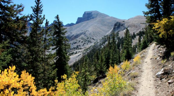 You’ll Never Forget This Hike To An Unrivaled Peak In Nevada