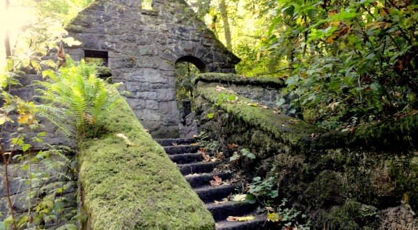 Most People Don’t Know The Story Behind These Breathtaking Portland Ruins