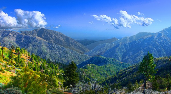 Get Lost In These 4 National Forests In Southern California