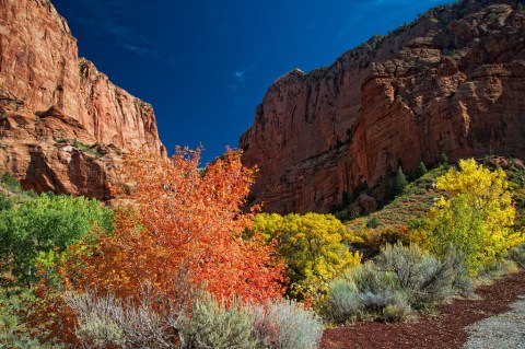 The Unexpected Place In Utah With The Best Fall Foliage