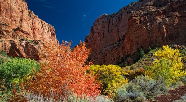 The Unexpected Place In Utah With The Best Fall Foliage