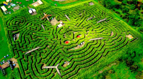 The Number One Corn Maze In America Is Right Here In Massachusetts