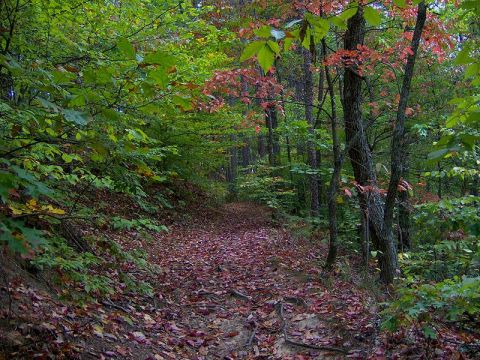The Haunted Hike In Tennessee That Will Send You Running For The Hills