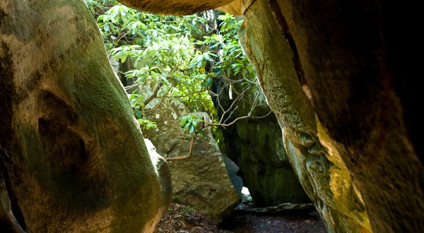 Explore This Natural Maze In Virginia For An Unforgettable Adventure
