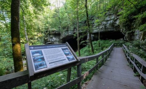 There's No Cave In The World Like This One Hiding In Alabama
