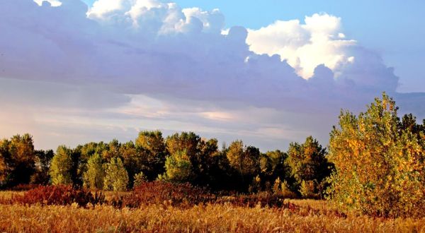 9 Easy Hikes To Add To Your Outdoor Bucket List In Kansas