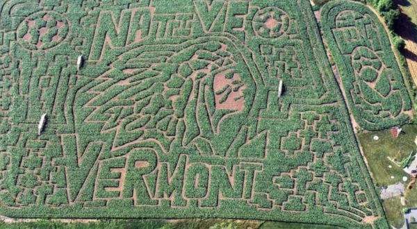 Get Lost In These 8 Awesome Corn Mazes In Vermont This Fall