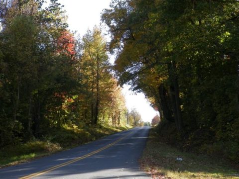 11 Country Roads In Kentucky That Are Pure Bliss In The Fall