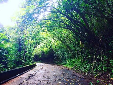 The Haunted Hike In Hawaii Will Send You Running For The Hills