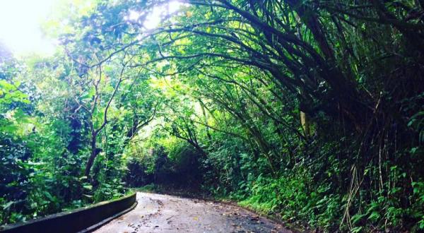 The Haunted Hike In Hawaii Will Send You Running For The Hills