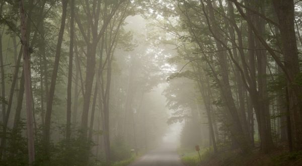 Don’t Drive On These 6 Haunted Streets In Maine Or You May Regret It