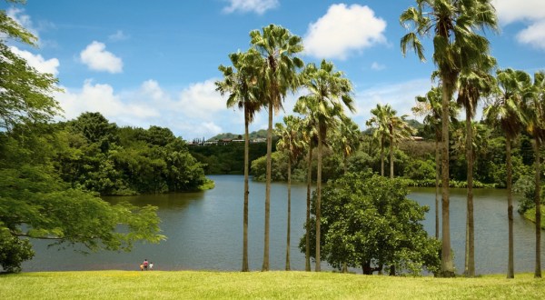 The Little Known Natural Oasis Hiding In Hawaii That’s Impossible Not To Love