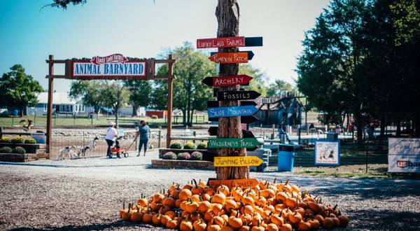 These 7 Charming Pumpkin Patches Near Nashville Are Picture Perfect For A Fall Day