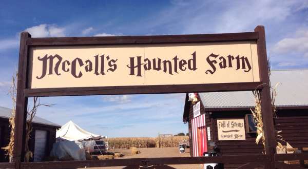 Visit This One Epic New Mexico Pumpkin Patch For The Ultimate Fall Experience