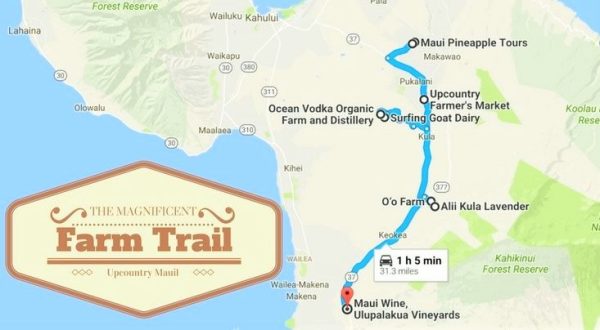 There’s A Farm Trail In Hawaii And It’s Everything You’ve Ever Dreamed Of
