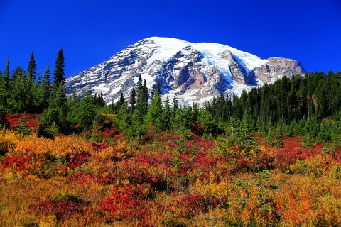 The 11 Best Places In Washington To See Brilliant Fall Colors