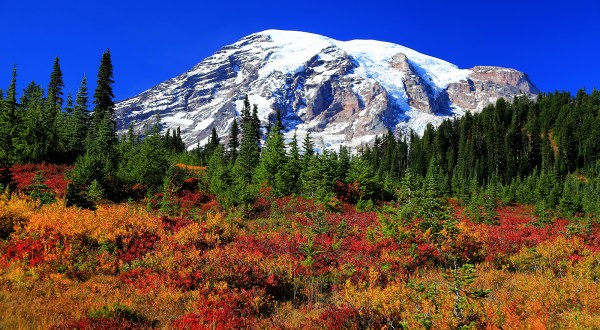 The 11 Best Places In Washington To See Brilliant Fall Colors